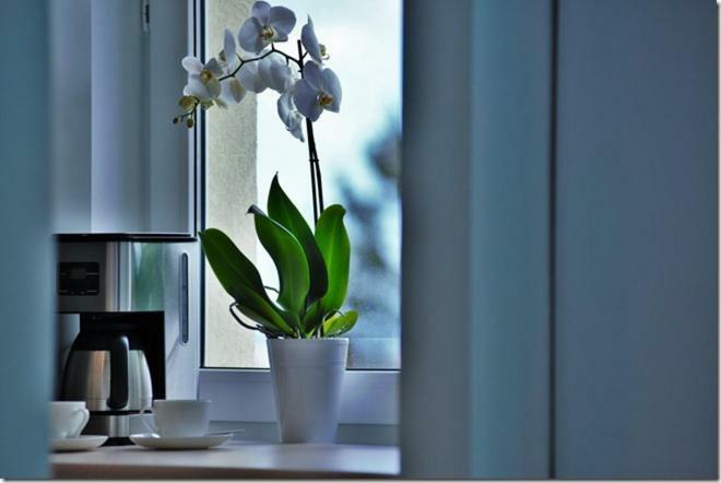 Cozy Base Apartment กดัญสก์ ภายนอก รูปภาพ